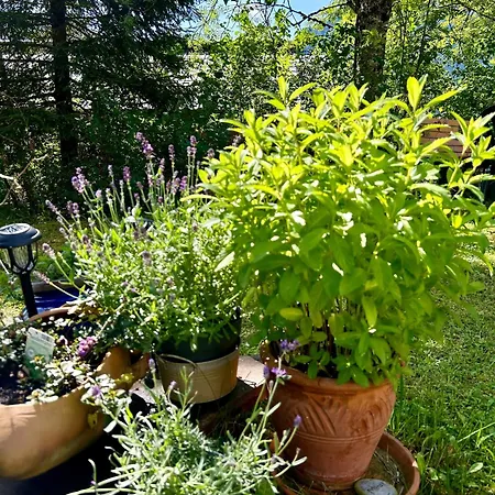 Appartementhaus Michaela Apartman *